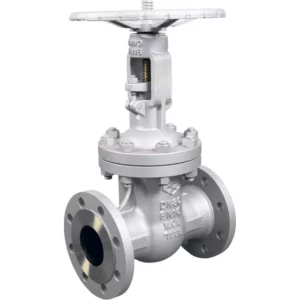 Absperrschieber A216WCB