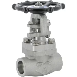 Absperrschieber F316